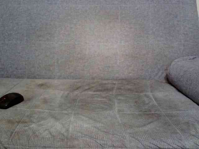 Rengin webcam