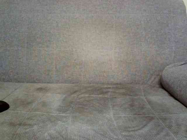 Rengin webcam