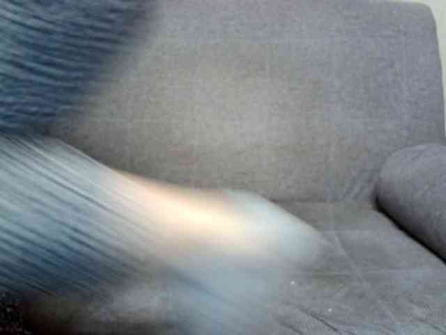 Rengin webcam