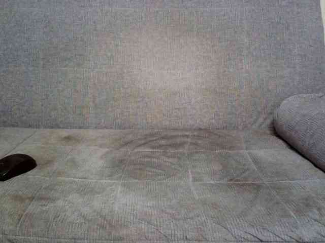 Rengin webcam
