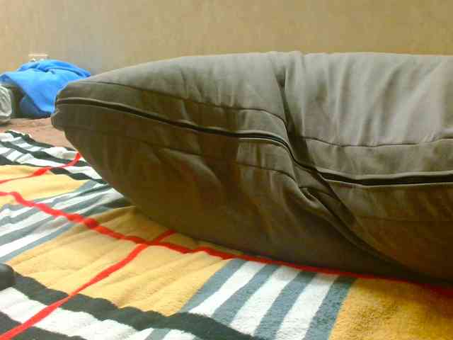DonnaRosa webcam