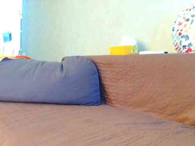 Brionia webcam