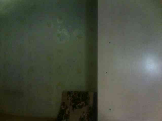 _Jossephinna_ webcam