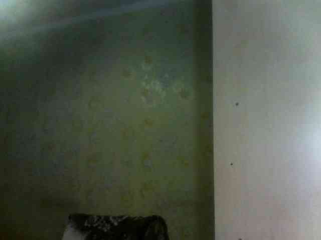 _Jossephinna_ webcam