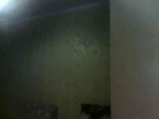 _Jossephinna_ webcam