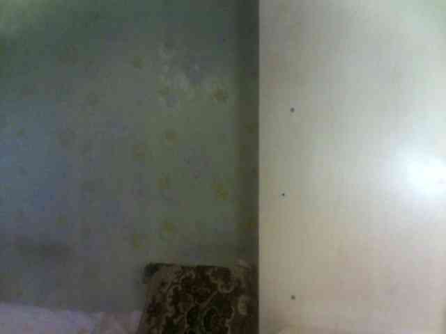 _Jossephinna_ webcam