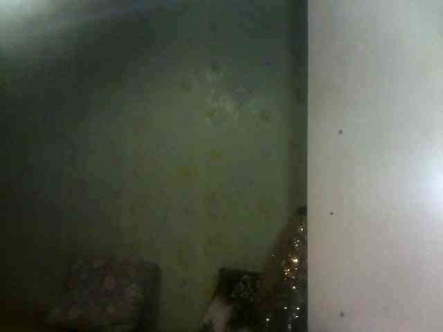 _Jossephinna_ webcam