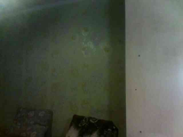 _Jossephinna_ webcam