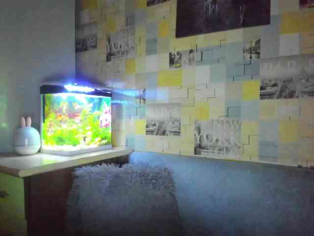 AlisaKisa93 AlisaKisa93