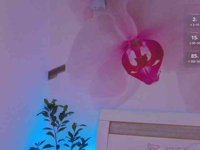 _AfterDark_ webcam