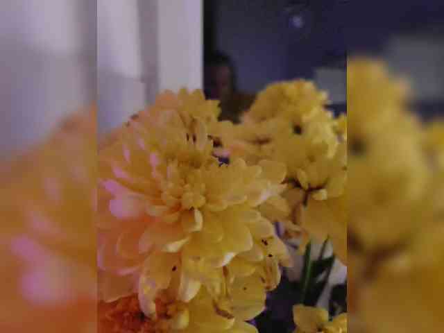 _AfterDark_ webcam