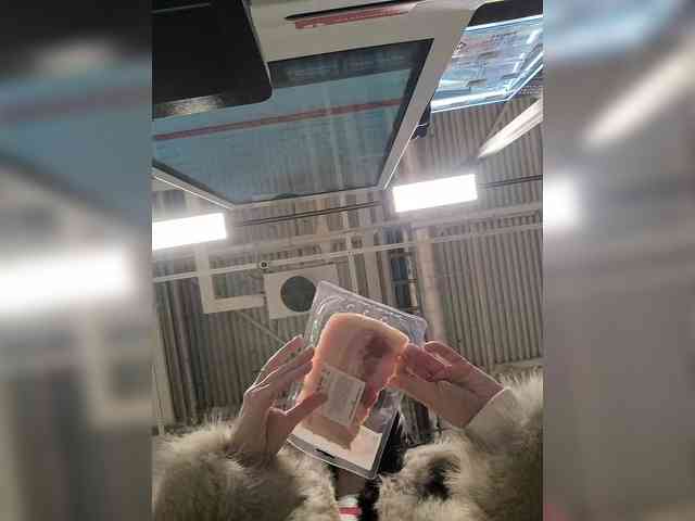 Chris_Diamond webcam