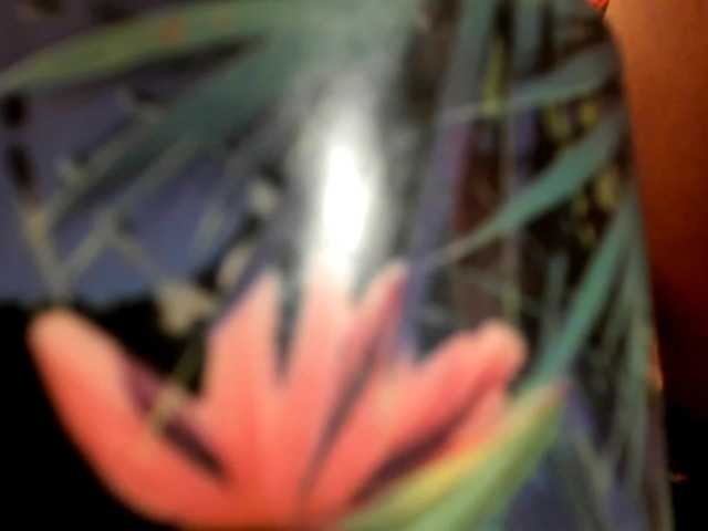 Preview of alice-sweet