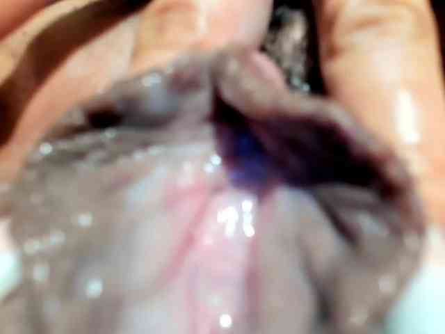 Alice-Sweet webcam