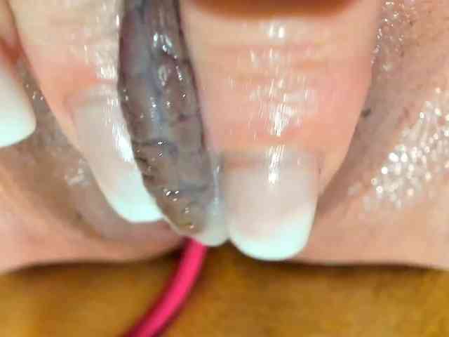 Alice-Sweet Live Webcam on BongaCams