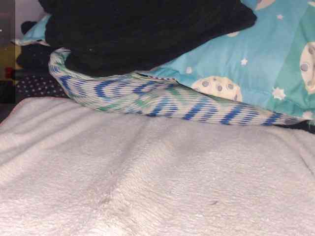 karol-hot-sex webcam