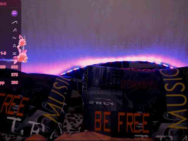 vik_ks_ks webcam
