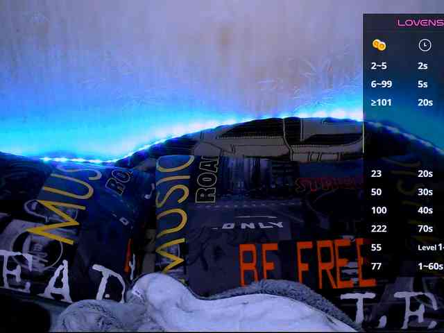 vik_ks_ks webcam