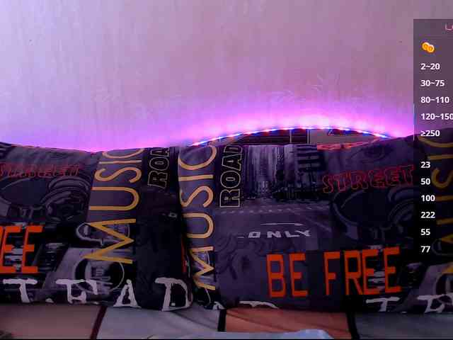 vik_ks_ks webcam