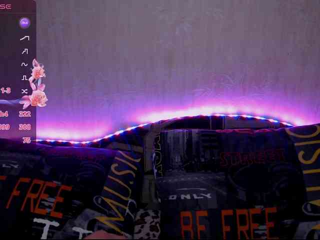 vik_ks_ks webcam