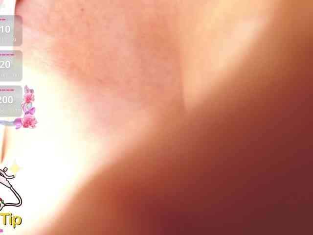 furbaFox webcam