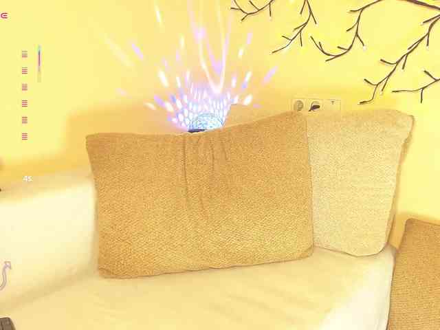 furbaFox Live Webcam on BongaCams