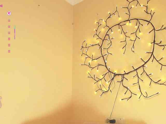 furbaFox Live Webcam on BongaCams