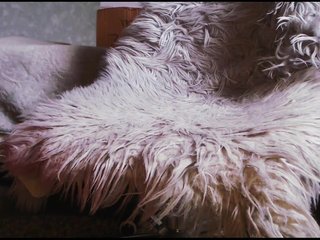 Va-len-cia Porn Show