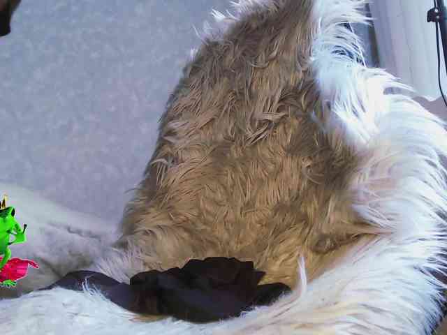 Va-len-cia webcam