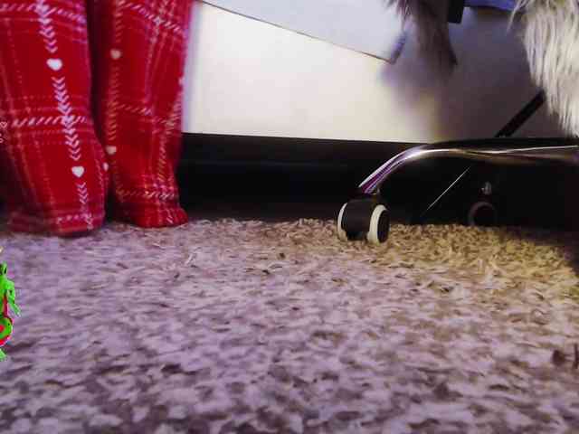 Va-len-cia webcam