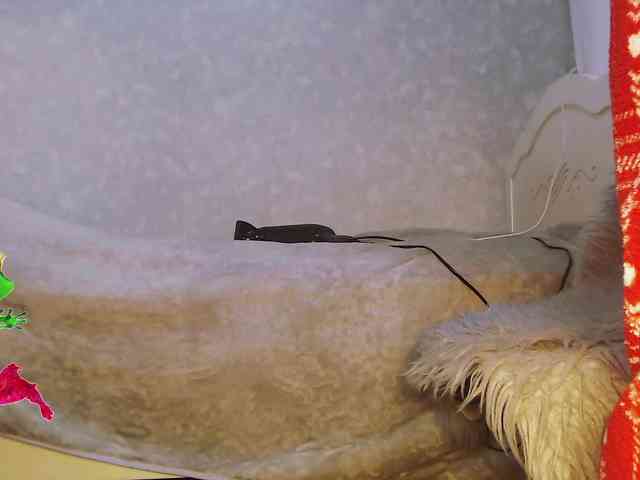 Va-len-cia webcam