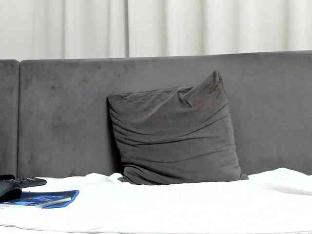 Sophiestique webcam