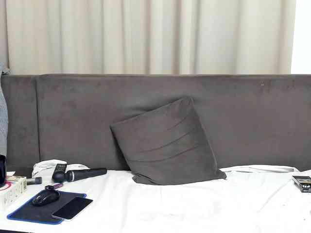 Sophiestique webcam