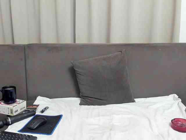 Sophiestique webcam