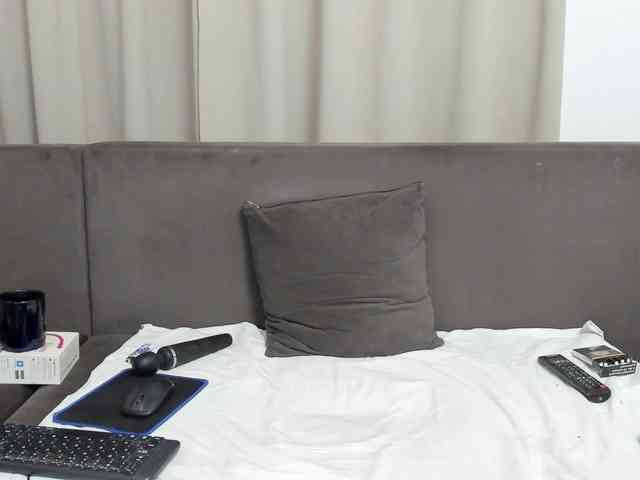 Sophiestique webcam