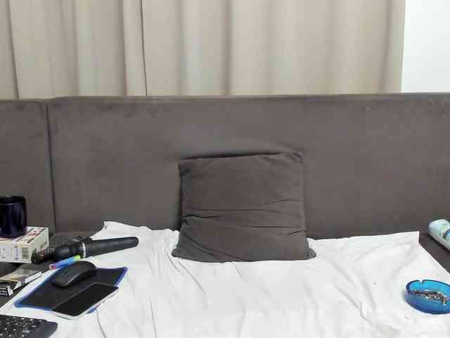 Sophiestique webcam