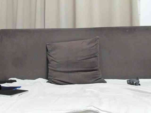 Sophiestique webcam