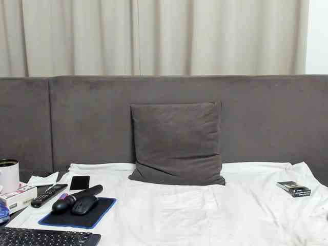 Sophiestique webcam