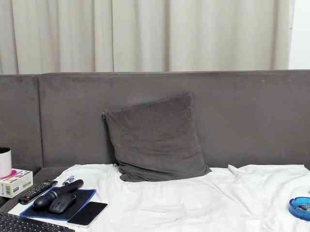 Sophiestique webcam