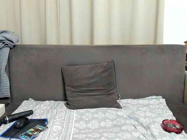 Sophiestique webcam
