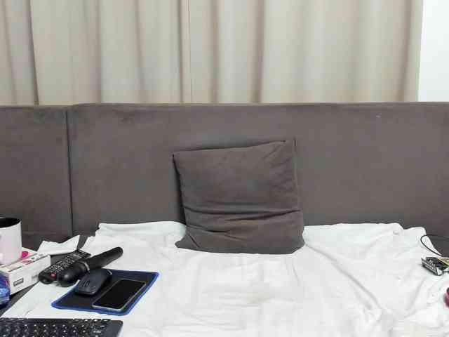 Sophiestique webcam