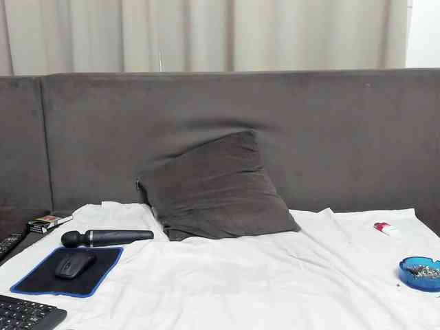 Sophiestique webcam