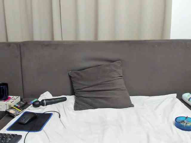 Sophiestique webcam