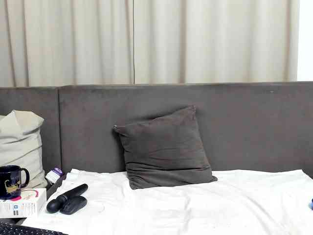 Sophiestique webcam