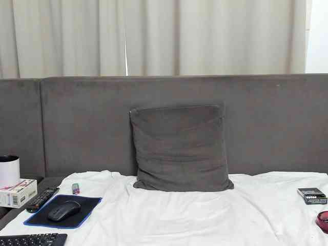Sophiestique webcam