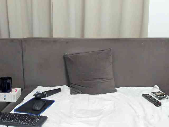 Sophiestique webcam