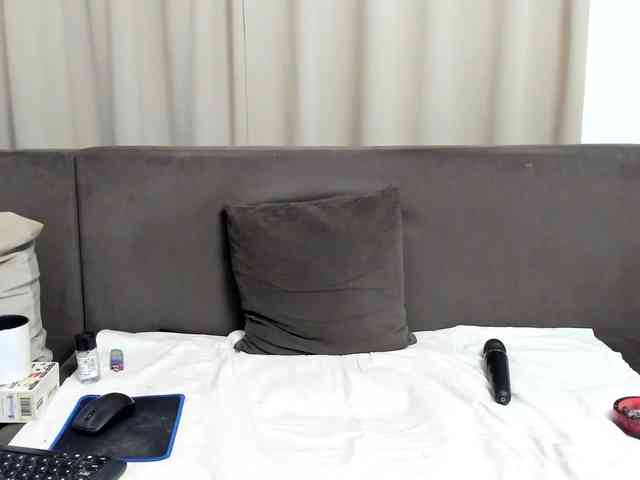 Sophiestique webcam