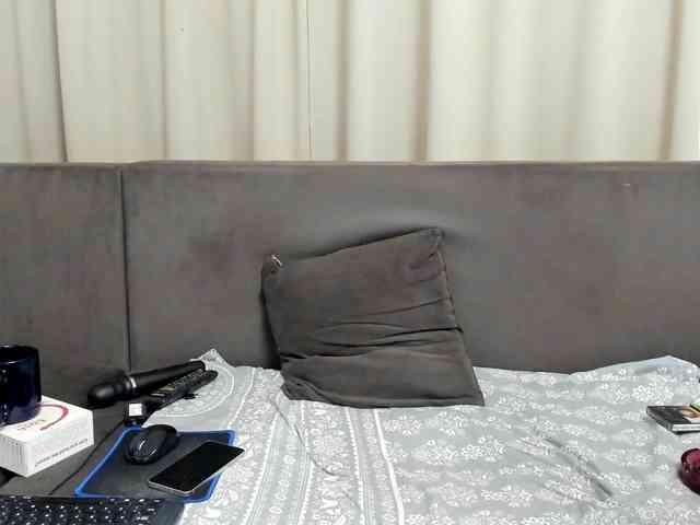 Sophiestique webcam