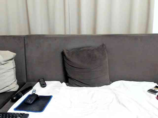 Sophiestique webcam