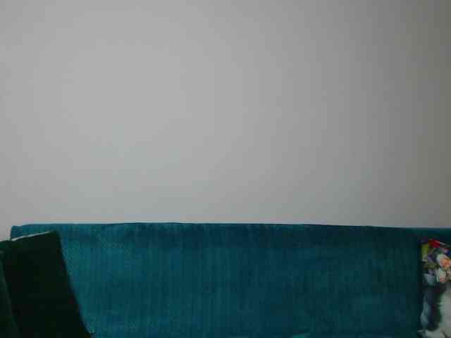 Sara-Daisy webcam